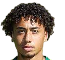 https://img.cikpan.com/img/football/player/347a6d58ae7ec0425a4d42bc9215c411.png